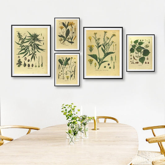 Vintage Botany Prints