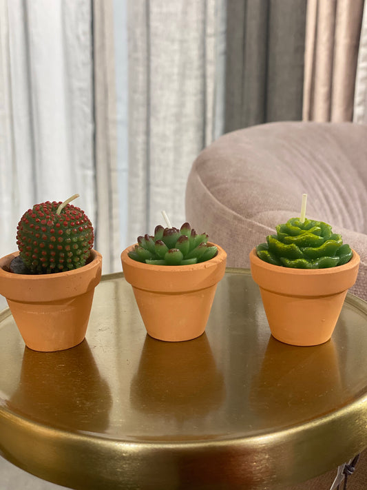 Succulent Candles (Set of 3) with Pots