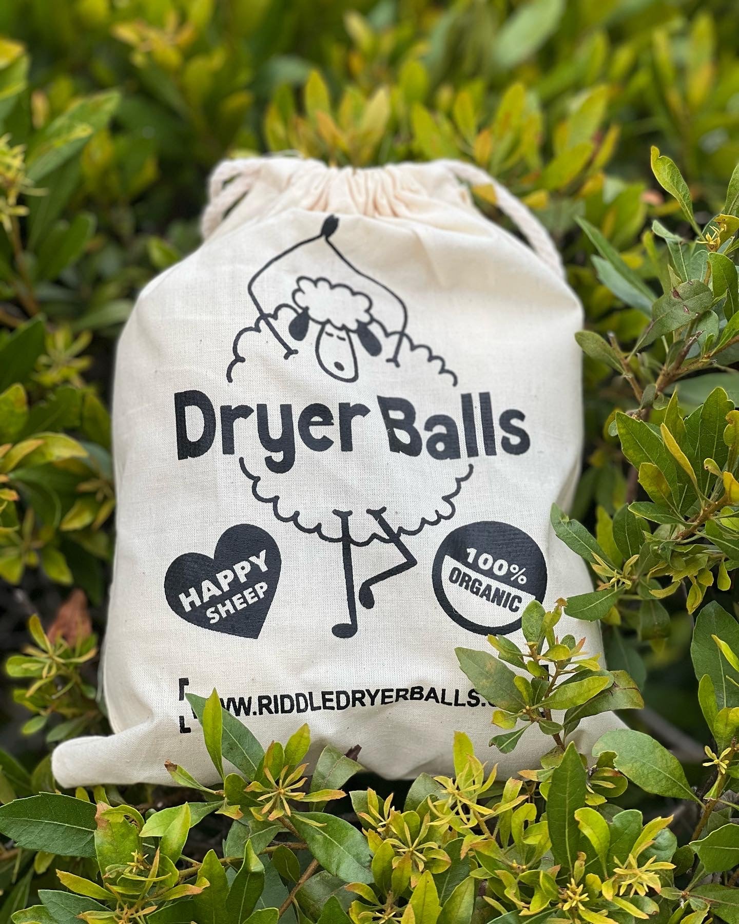 RIDDLE BRAND Dryer Balls (SET OF 3) White